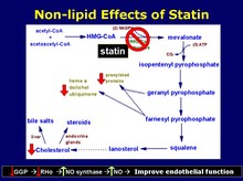 Non-lipid effects of statin
