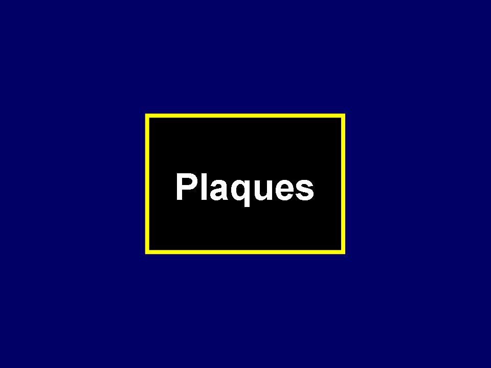 Plaques Advanced Cholesterol Clinic RdeGoma